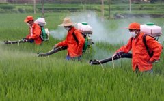 農(nóng)藥殘留檢測儀檢測速度快嗎？