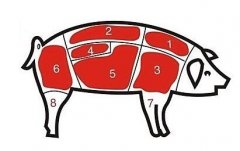 病害肉檢測(cè)儀讓老百姓吃上放心肉！