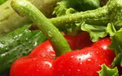 農(nóng)殘快速檢測儀切實保障有機(jī)蔬菜安全