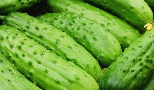 農殘快速檢測儀