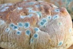 食品安全速測儀含多個食品檢測模塊